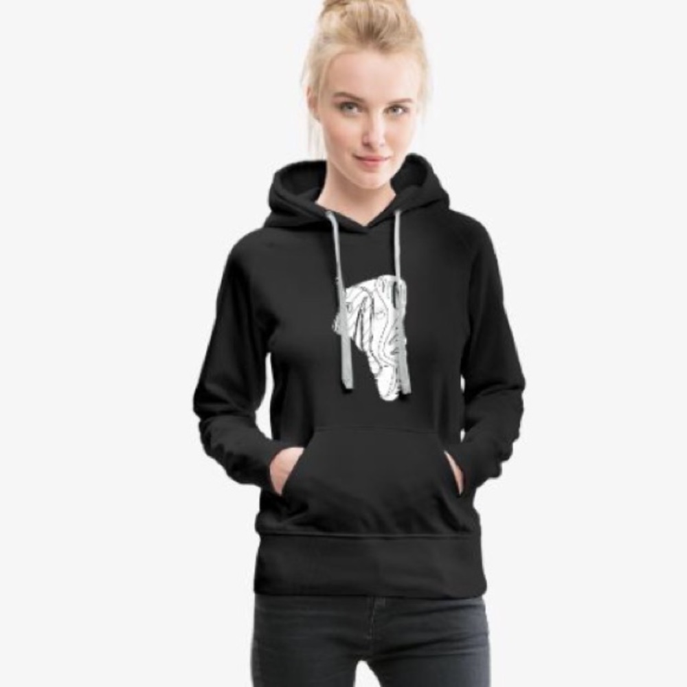 Air Crown Hoodie.